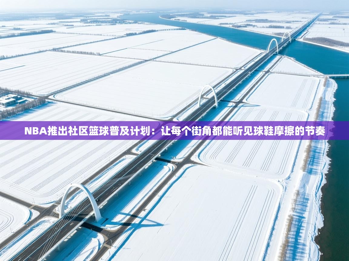 NBA推出社区篮球普及计划:让每个街角都能听见球鞋摩擦的节奏 第2张