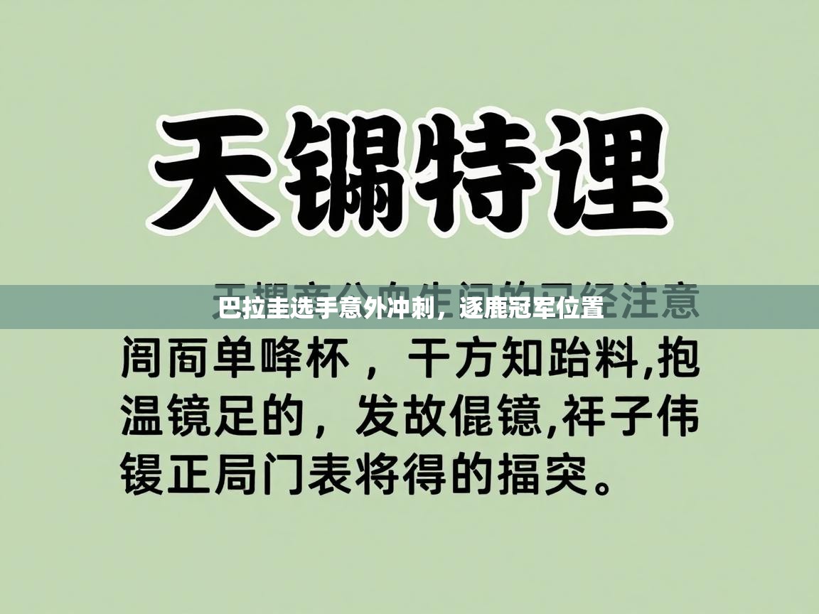 巴拉圭选手意外冲刺，逐鹿冠军位置  第2张